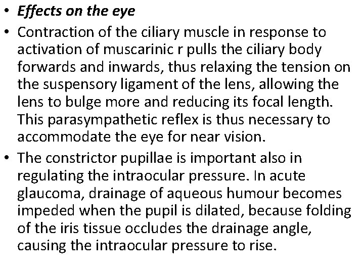  • Effects on the eye • Contraction of the ciliary muscle in response