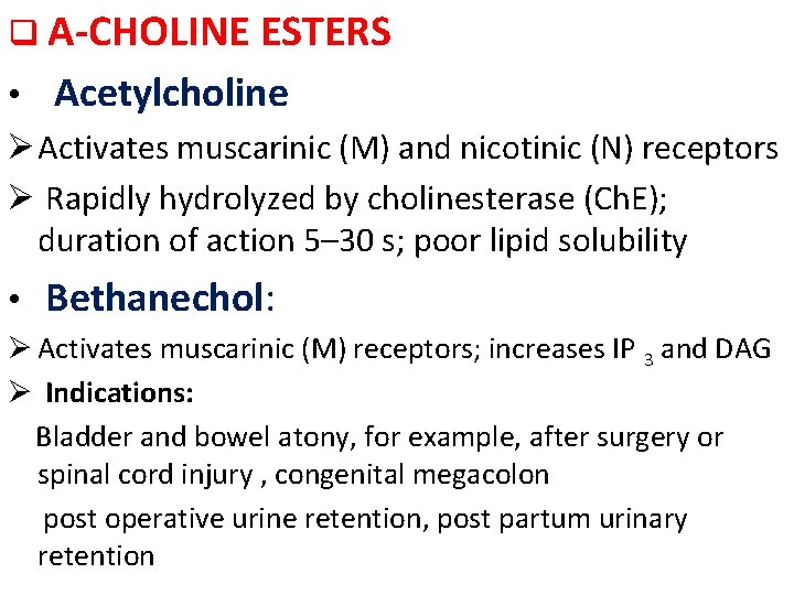 q A-CHOLINE ESTERS • Acetylcholine Ø Activates muscarinic (M) and nicotinic (N) receptors Ø