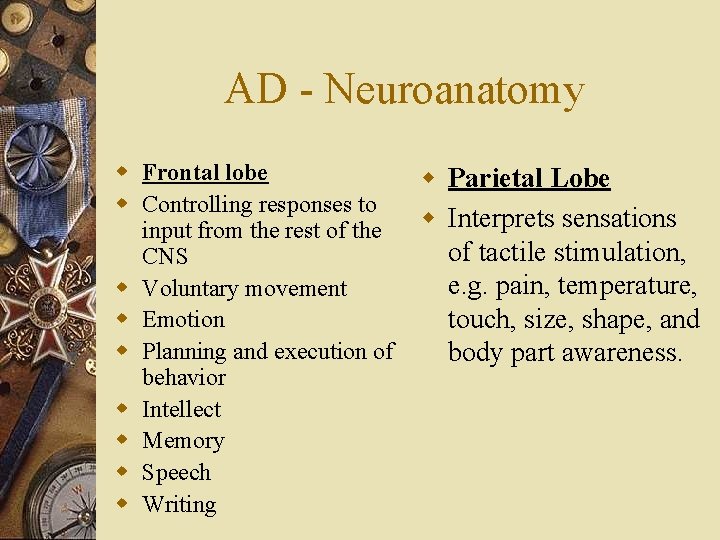 AD - Neuroanatomy w Frontal lobe w Controlling responses to input from the rest