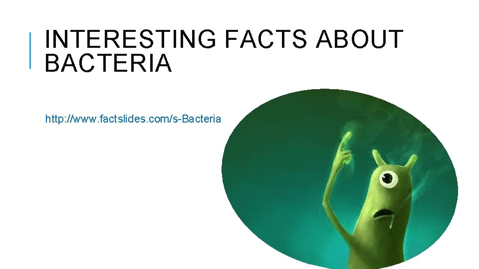 INTERESTING FACTS ABOUT BACTERIA http: //www. factslides. com/s-Bacteria 