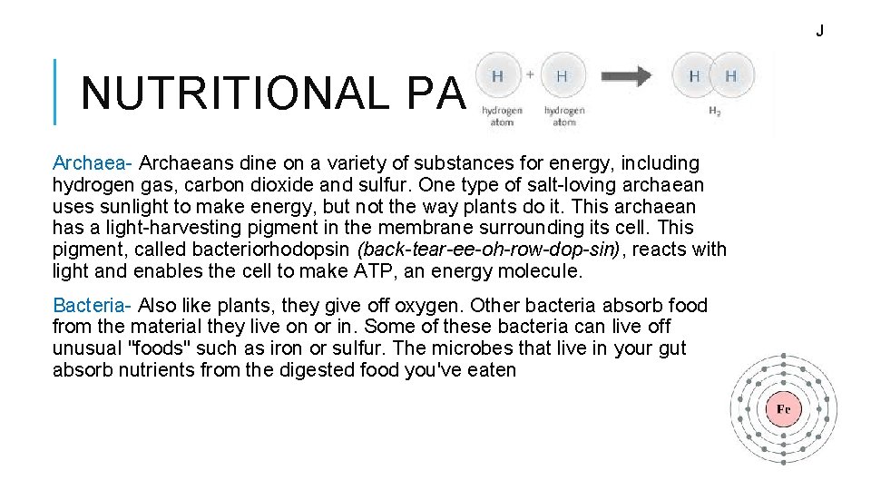 J NUTRITIONAL PATTERN Archaea- Archaeans dine on a variety of substances for energy, including