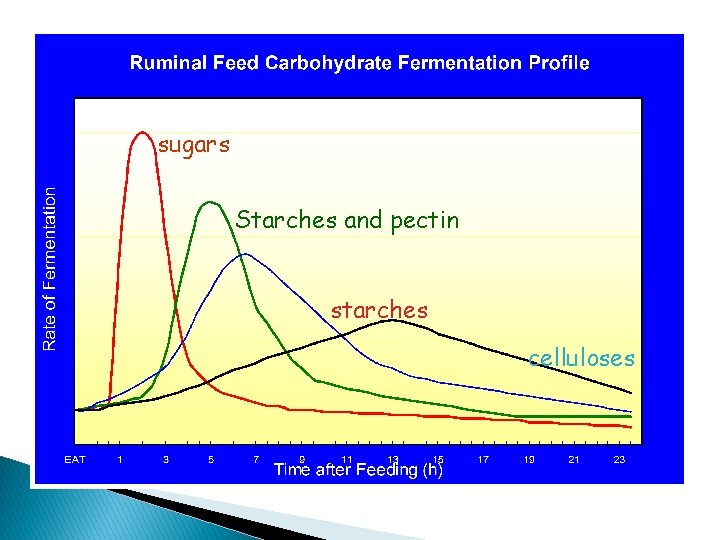 sugars Starches and pectin starches celluloses 