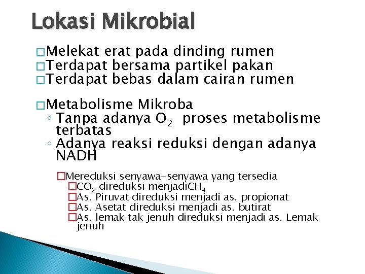 Lokasi Mikrobial � Melekat erat pada dinding rumen � Terdapat bersama partikel pakan �