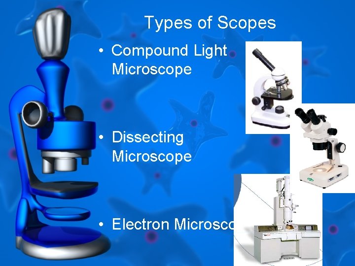 Types of Scopes • Compound Light Microscope • Dissecting Microscope • Electron Microscope 
