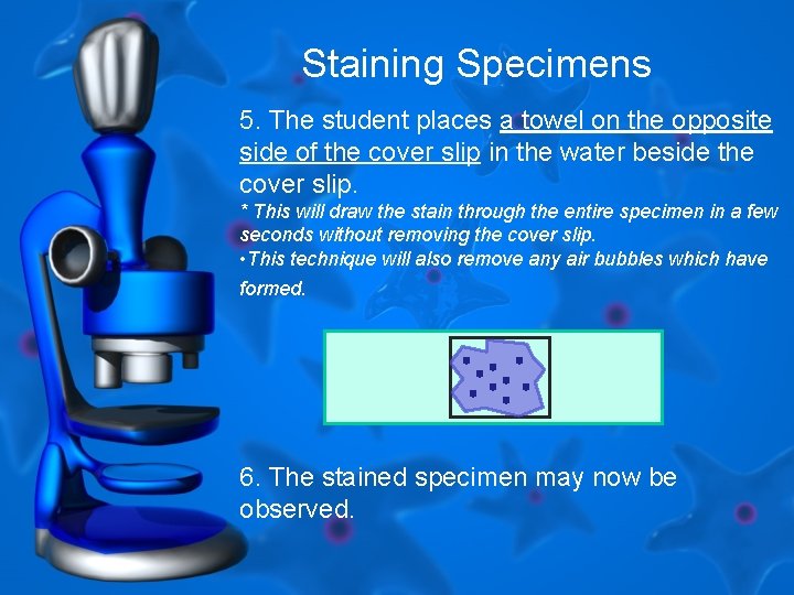 Staining Specimens 5. The student places a towel on the opposite side of the