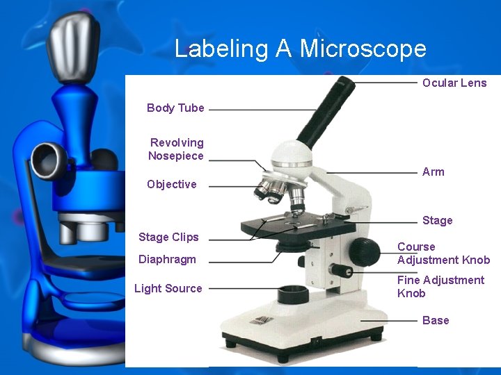 All About Scopes Labeling A Microscope Ocular Lens