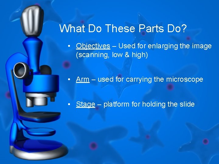 What Do These Parts Do? • Objectives – Used for enlarging the image (scanning, What Do These Parts Do? • Objectives – Used for enlarging the image (scanning,