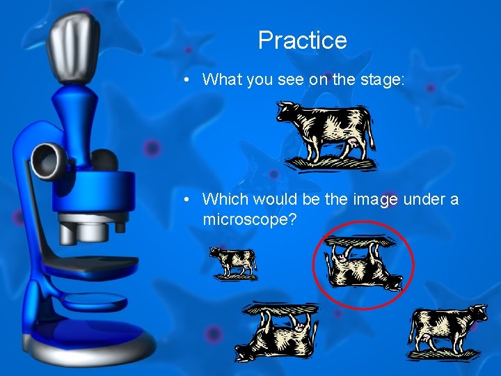 Practice • What you see on the stage: • Which would be the image Practice • What you see on the stage: • Which would be the image