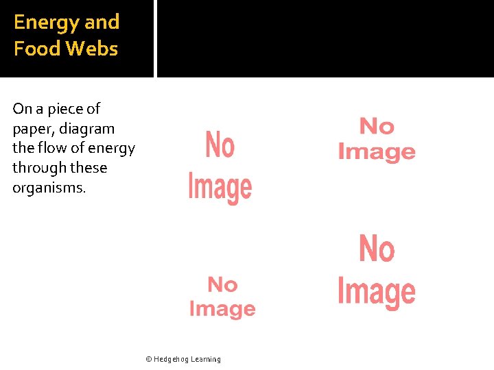Energy and Food Webs On a piece of paper, diagram the flow of energy
