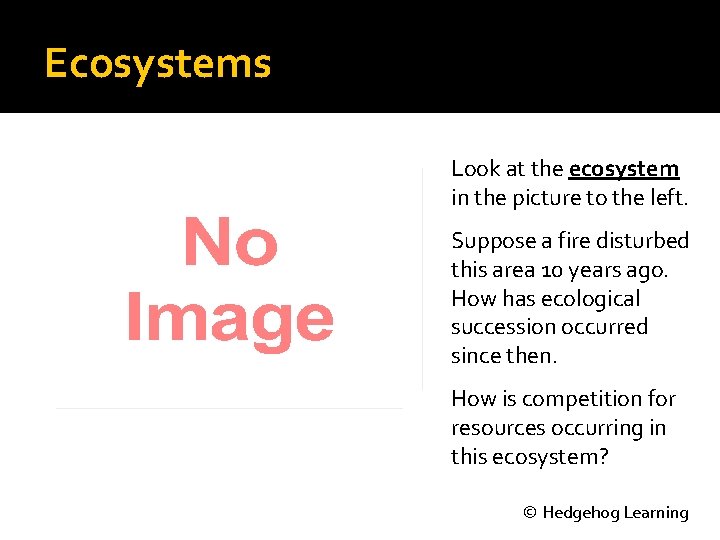 Ecosystems Look at the ecosystem in the picture to the left. Suppose a fire