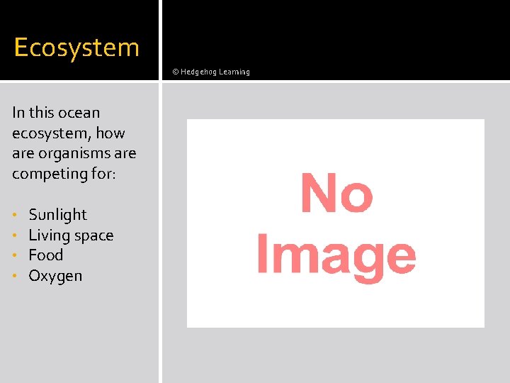 Ecosystem © Hedgehog Learning In this ocean ecosystem, how are organisms are competing for: