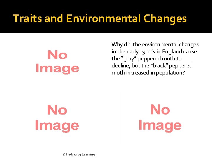 Traits and Environmental Changes Why did the environmental changes in the early 1900’s in