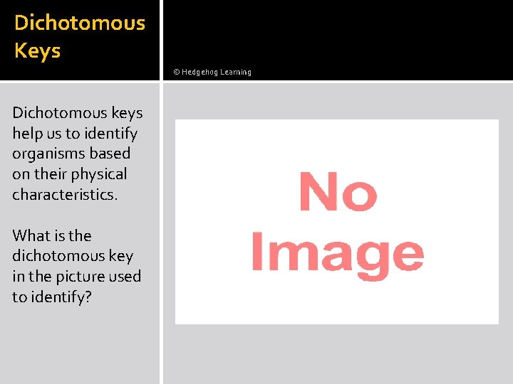Dichotomous Keys © Hedgehog Learning Dichotomous keys help us to identify organisms based on