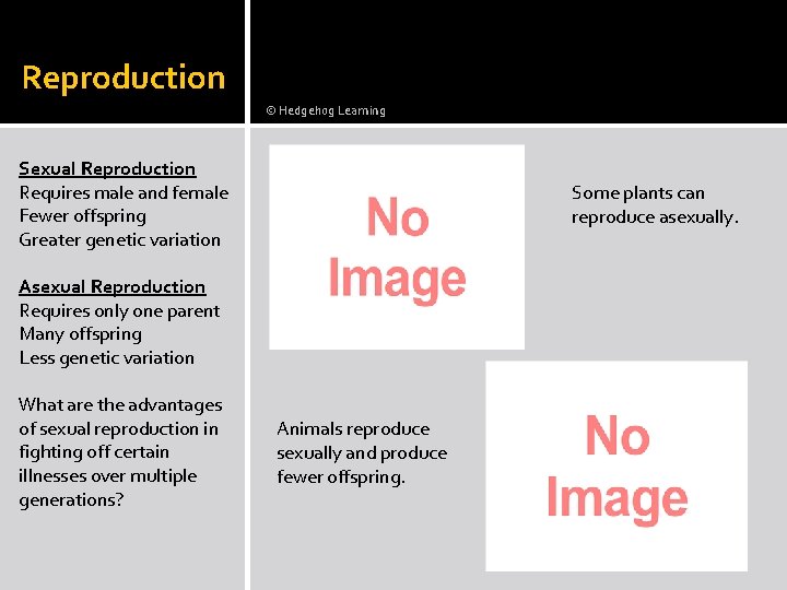 Reproduction © Hedgehog Learning Sexual Reproduction Requires male and female Fewer offspring Greater genetic