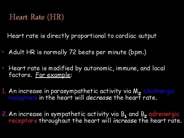 Heart Rate (HR) Heart rate is directly proportional to cardiac output • Adult HR