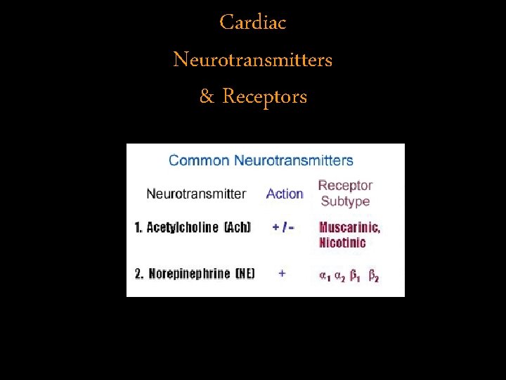 Cardiac Neurotransmitters & Receptors 