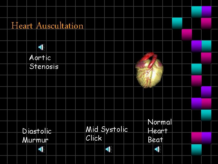 Heart Auscultation Aortic Stenosis Diastolic Murmur Mid Systolic Click Normal Heart Beat 