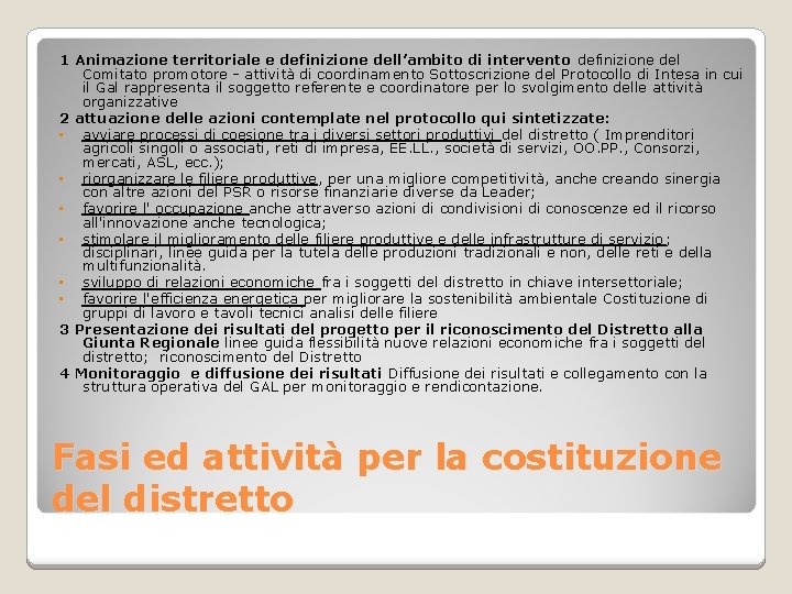 1 Animazione territoriale e definizione dell’ambito di intervento definizione del Comitato promotore - attività