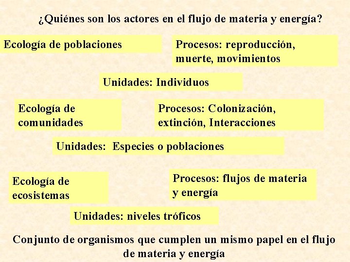 ¿Quiénes son los actores en el flujo de materia y energía? Ecología de poblaciones