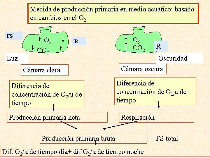 Medida de producción primaria en medio acuático: basado en cambios en el O 2