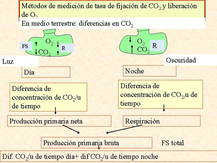 Métodos de medición de tasa de fijación de CO 2 y liberación de O
