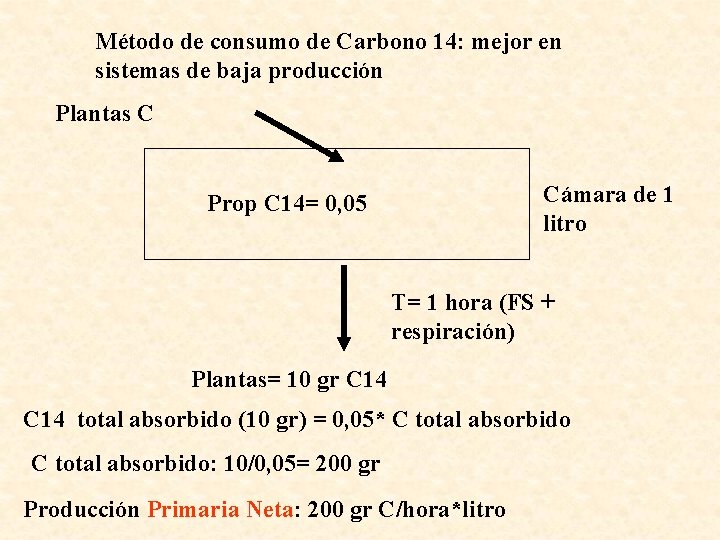 Método de consumo de Carbono 14: mejor en sistemas de baja producción Plantas C