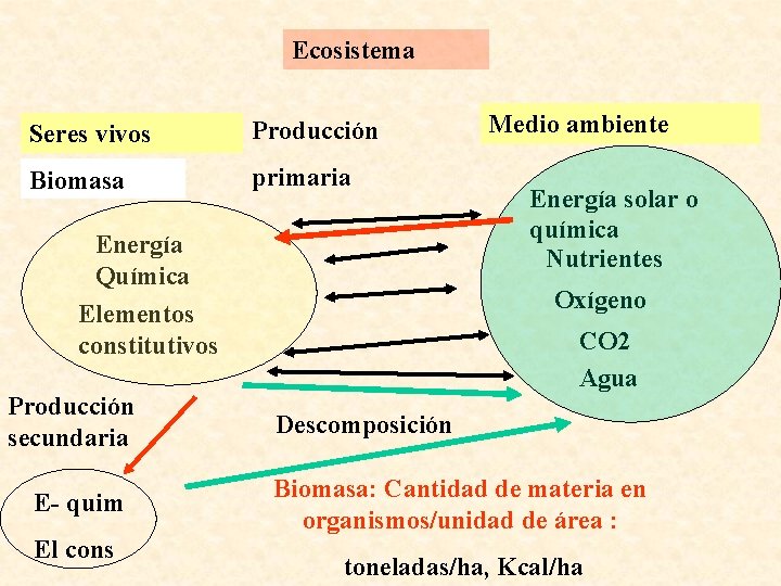 Ecosistema Seres vivos Producción Biomasa primaria Energía Química Elementos constitutivos Producción secundaria E- quim