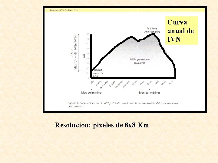 Curva anual de IVN Resolución: pixeles de 8 x 8 Km 