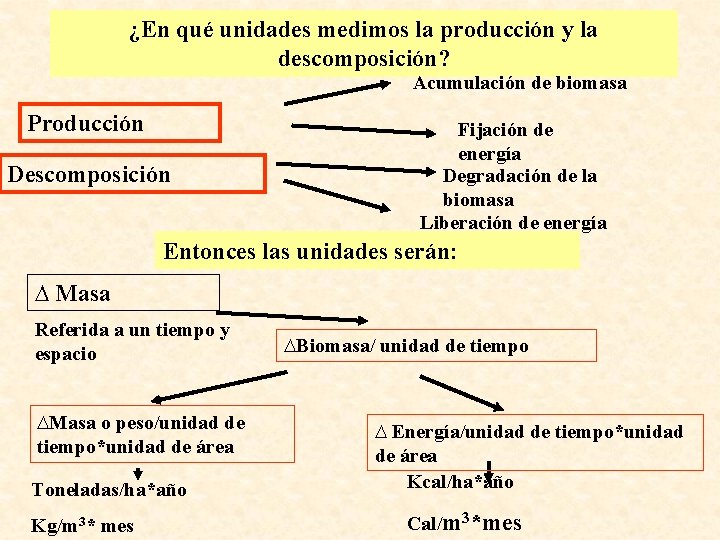 ¿En qué unidades medimos la producción y la descomposición? Acumulación de biomasa Producción Descomposición