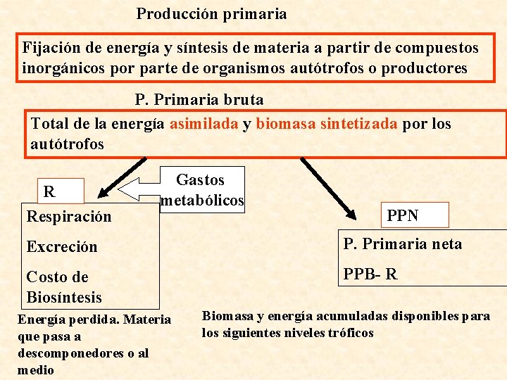 Producción primaria Fijación de energía y síntesis de materia a partir de compuestos inorgánicos