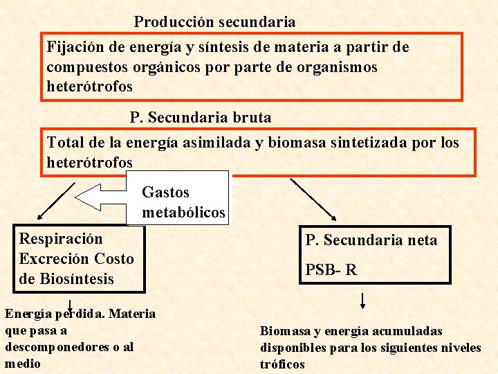 Producción secundaria Fijación de energía y síntesis de materia a partir de compuestos orgánicos