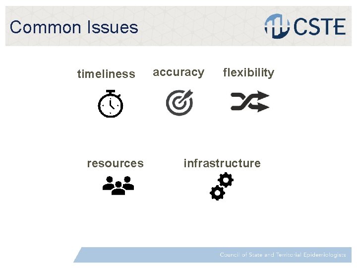 Common Issues timeliness resources accuracy flexibility infrastructure 