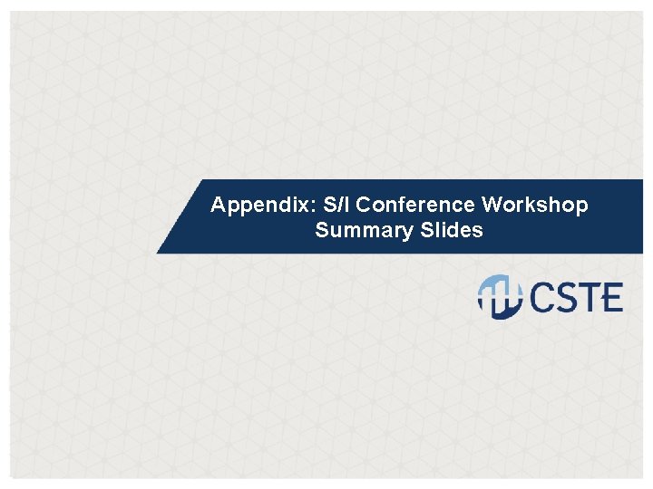 Appendix: S/I Conference Workshop Summary Slides 