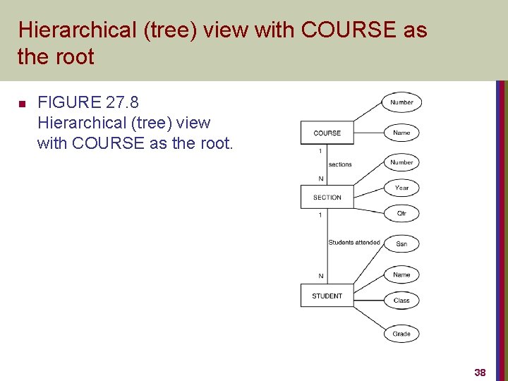 Hierarchical (tree) view with COURSE as the root n FIGURE 27. 8 Hierarchical (tree)