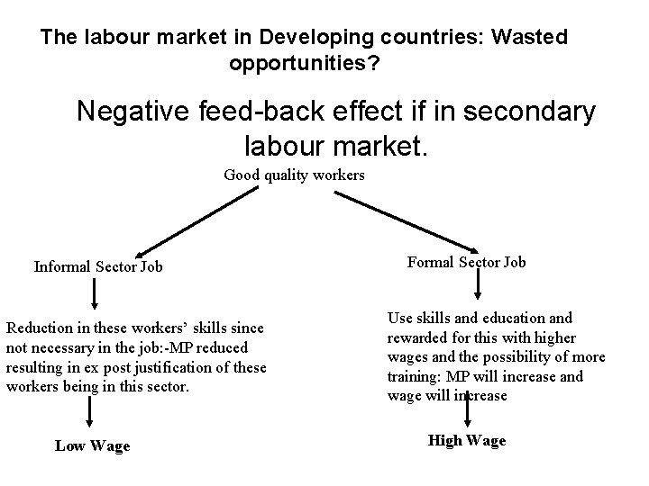The labour market in Developing countries: Wasted opportunities? Negative feed-back effect if in secondary