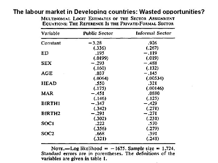 The labour market in Developing countries: Wasted opportunities? 