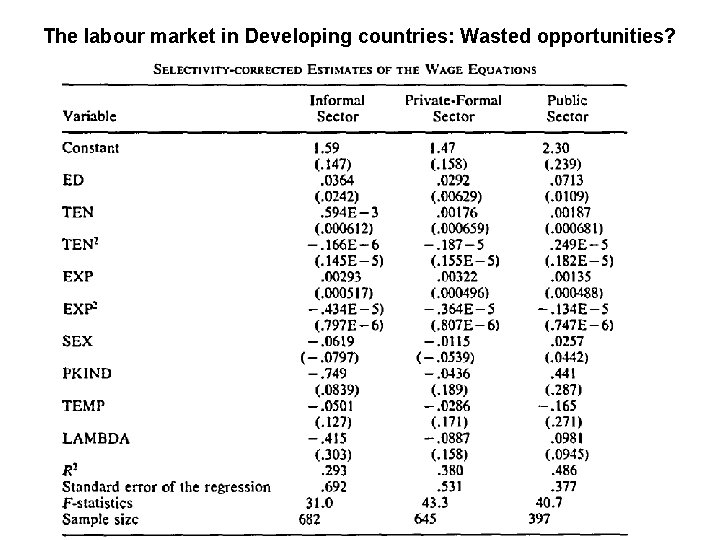The labour market in Developing countries: Wasted opportunities? 