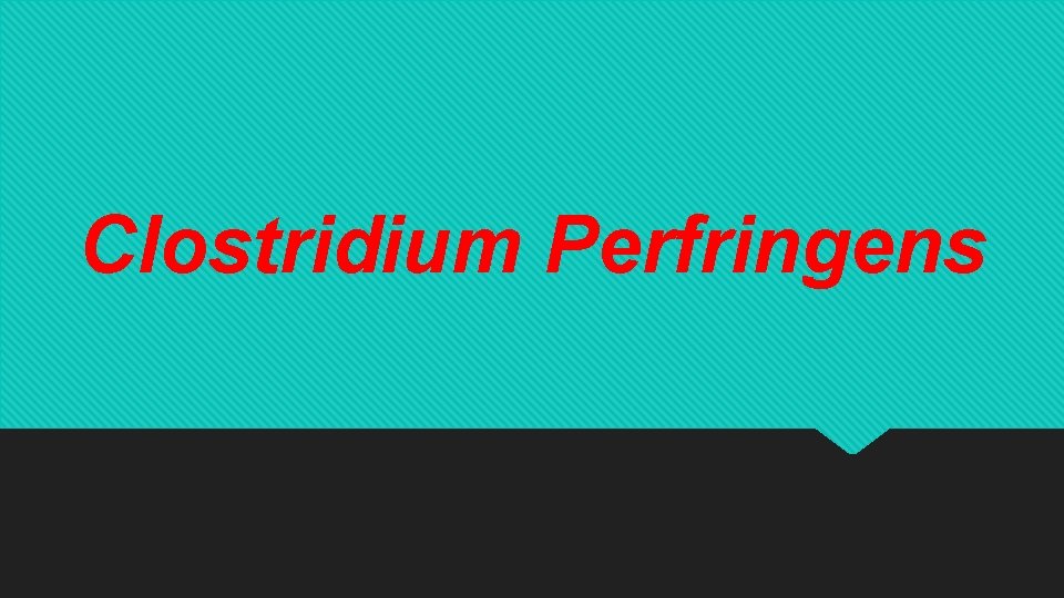 Clostridium Perfringens 