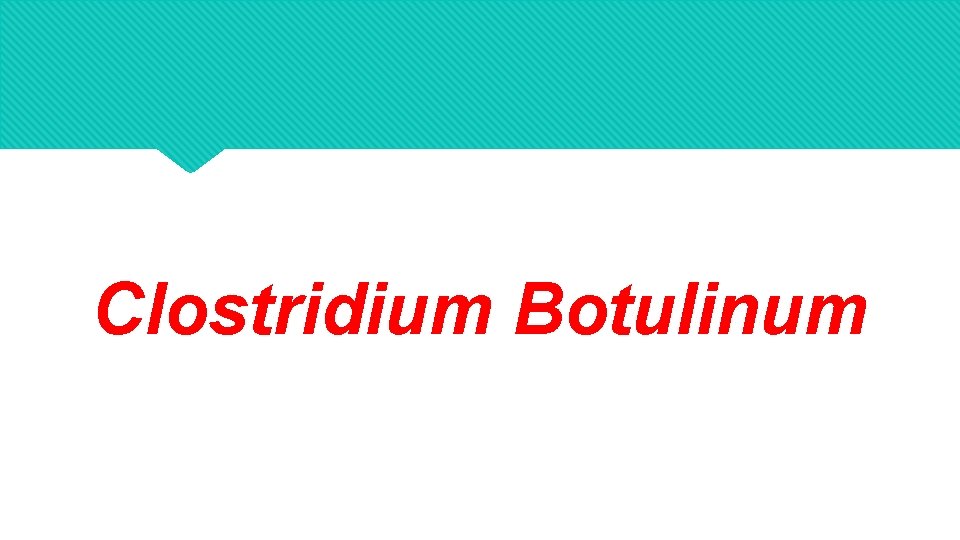 Clostridium Botulinum 