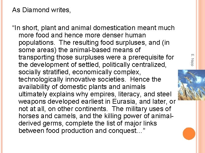 As Diamond writes, E. Napp “In short, plant and animal domestication meant much more