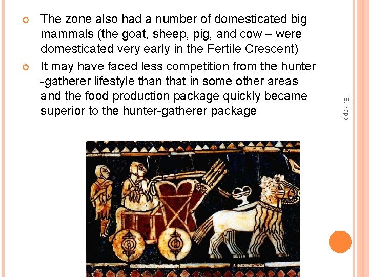  E. Napp The zone also had a number of domesticated big mammals (the