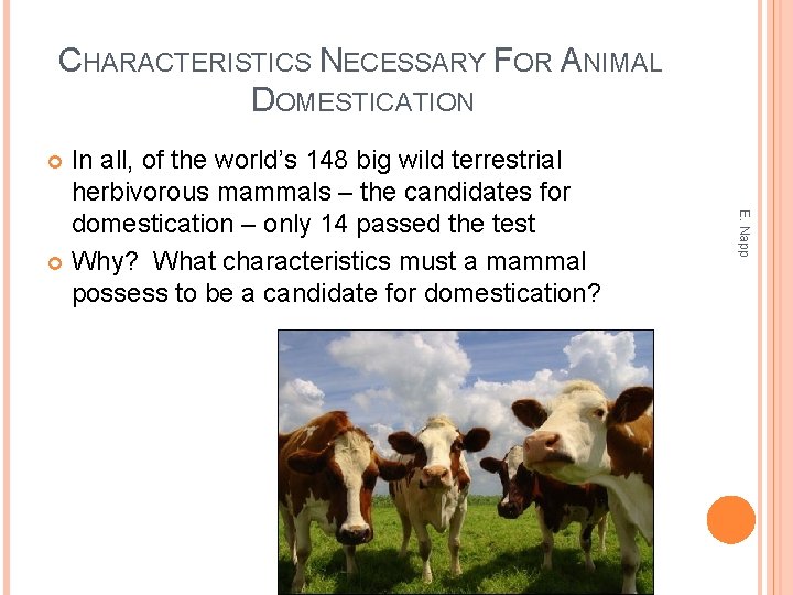 CHARACTERISTICS NECESSARY FOR ANIMAL DOMESTICATION In all, of the world’s 148 big wild terrestrial