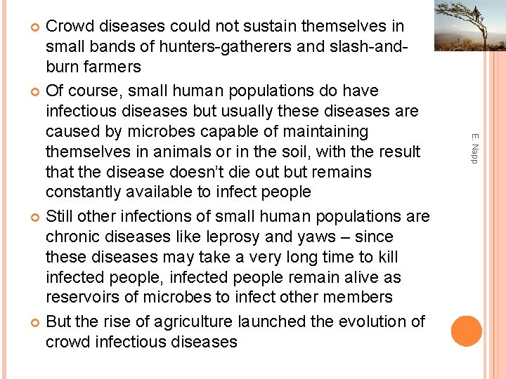Crowd diseases could not sustain themselves in small bands of hunters-gatherers and slash-andburn farmers