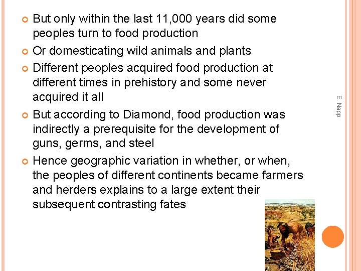 But only within the last 11, 000 years did some peoples turn to food