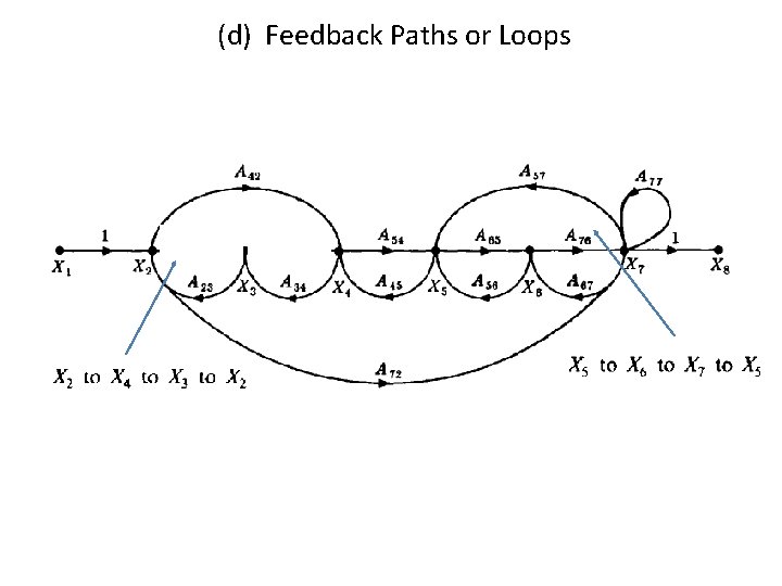 (d) Feedback Paths or Loops 