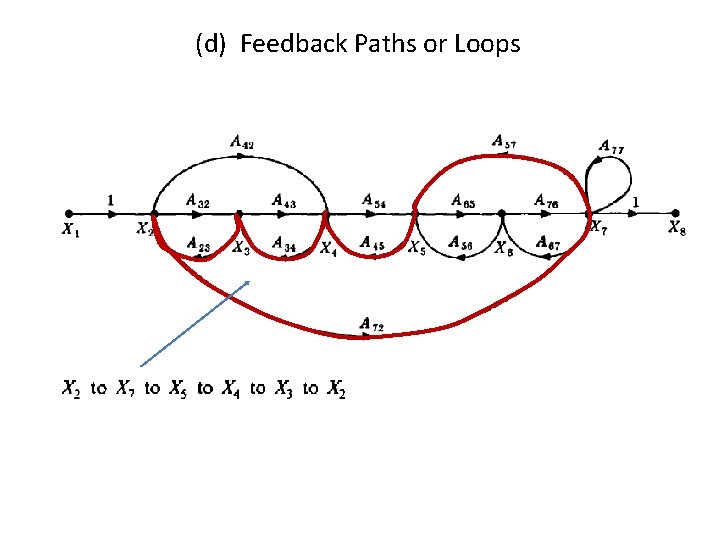 (d) Feedback Paths or Loops 