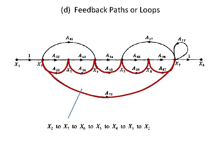 (d) Feedback Paths or Loops 