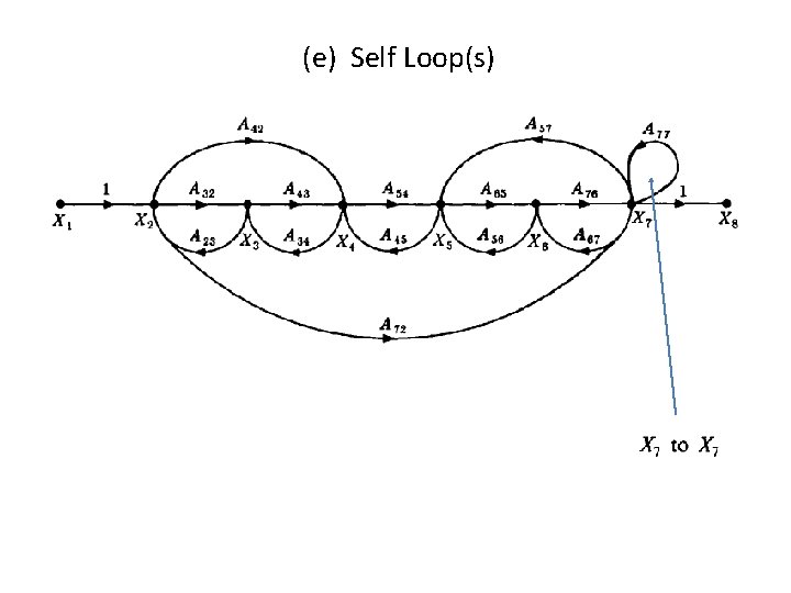 (e) Self Loop(s) 