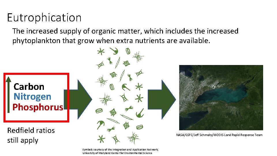Eutrophication The increased supply of organic matter, which includes the increased phytoplankton that grow
