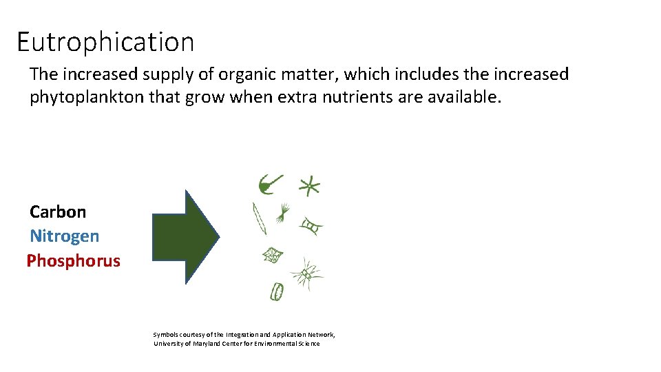 Eutrophication The increased supply of organic matter, which includes the increased phytoplankton that grow